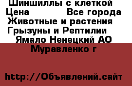 Шиншиллы с клеткой › Цена ­ 8 000 - Все города Животные и растения » Грызуны и Рептилии   . Ямало-Ненецкий АО,Муравленко г.